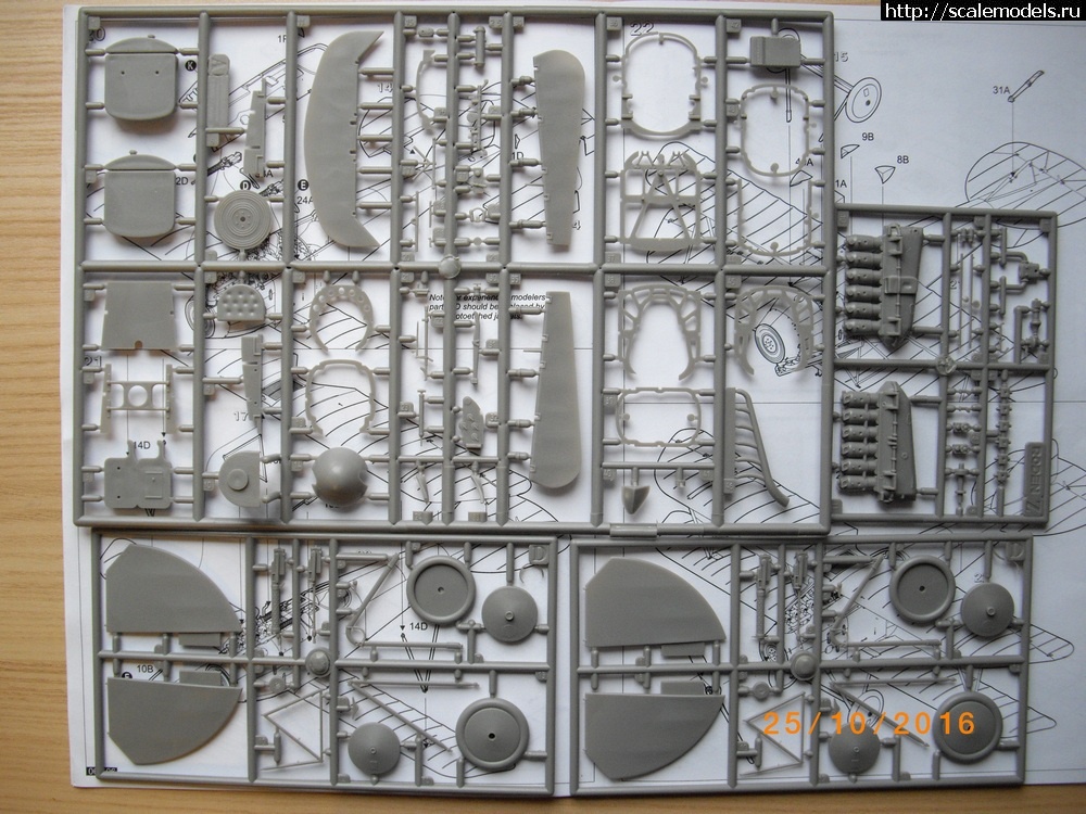 1477421544_IMGP7097.jpg : 1/32 Albatros D.III Roden+WnW-!  