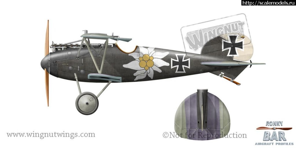 1477768839_Albatros-D.jpg : GB:   1/48  