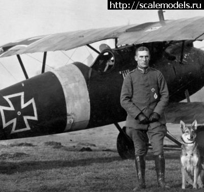 1478769009_tumblr_n2vf7x0tx11reh0fqo1_400.png : Eduard Albatros D V 1/48   