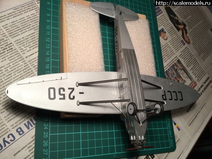 1479838983_7.jpg :  "  2016" -   