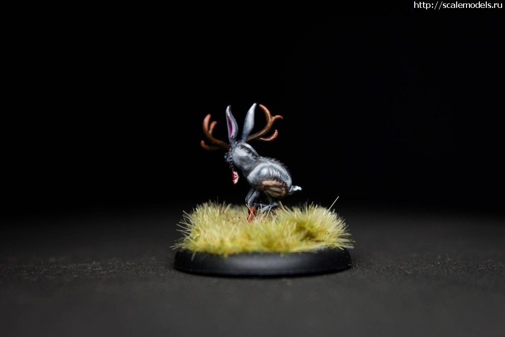 1482409312_1481582323_19.jpg : ,  5, " "  