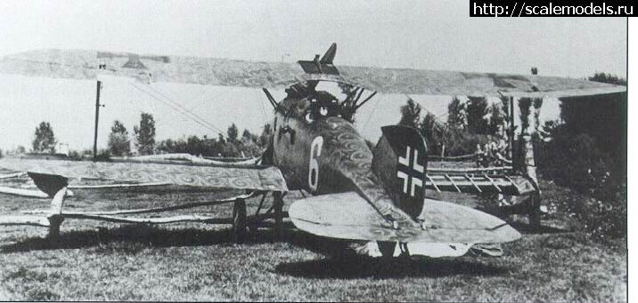 1483378184_253_64.jpg : Albatros D. III Oeffag 253 Eduard 1/48   