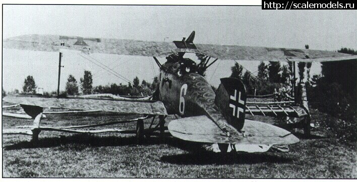 1483637383_37.jpg : #1329767/ Albatros D. III Oeffag 253 Eduard 1/48   