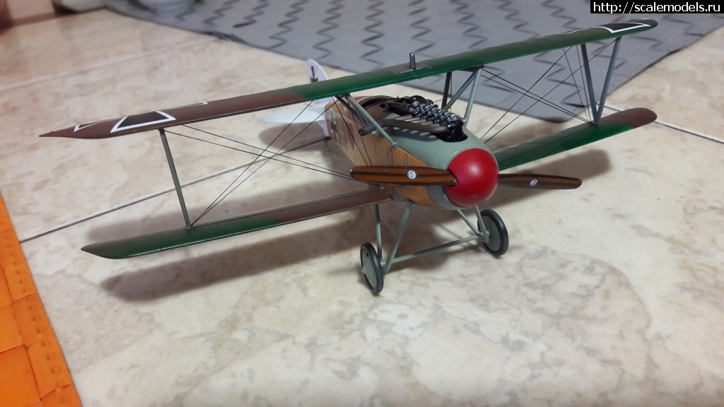 1485373994_20170125_090552.jpg : #1337673/ Albatros D.III 1/48 Eduard -   - !  