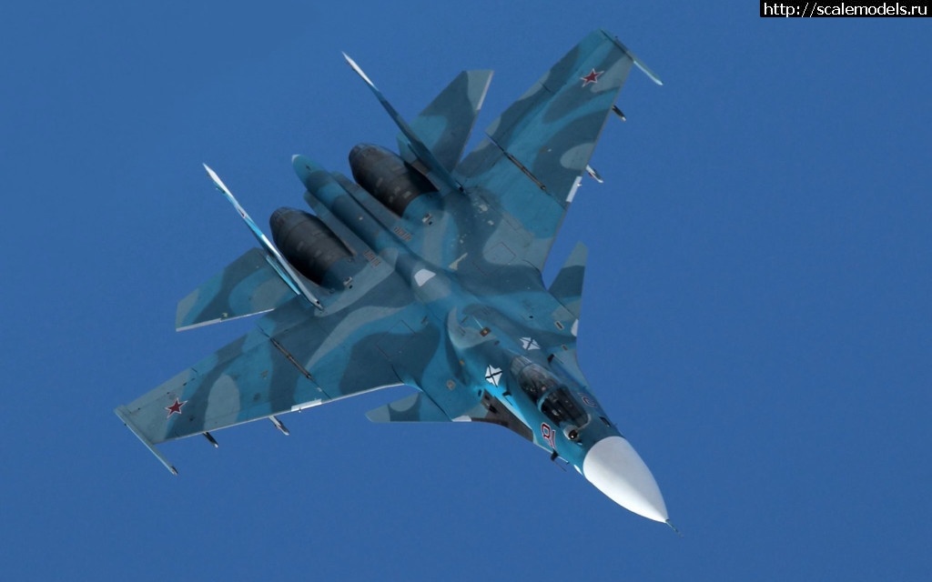 1487514076_su-33-palubnyy-istrebitel.jpg : #1348181/  1/72 -33(#10772) -   