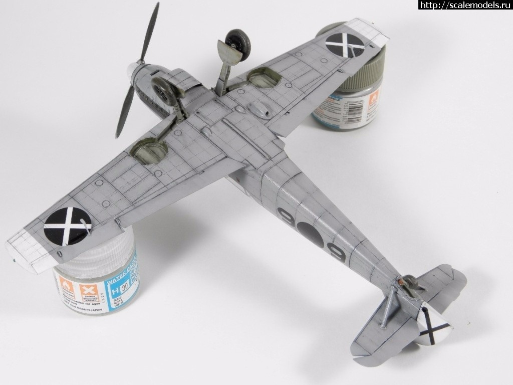 1488635834_1485356379_P1250024.jpg :      -   1/48  