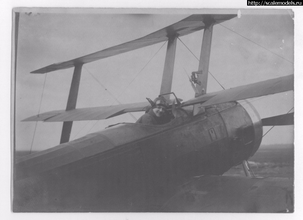 1489051336_jpg-1.jpg : #1355170/    1918-1924. ,   ..  