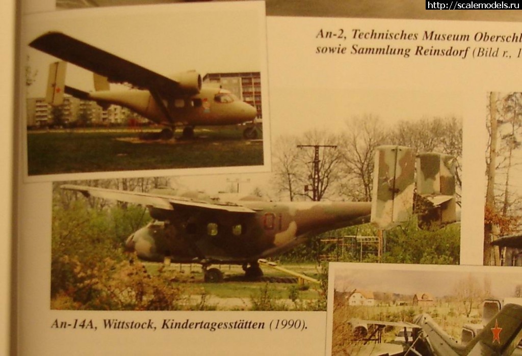 1489434937_DSC05311.JPG : #1357351/     -11?  