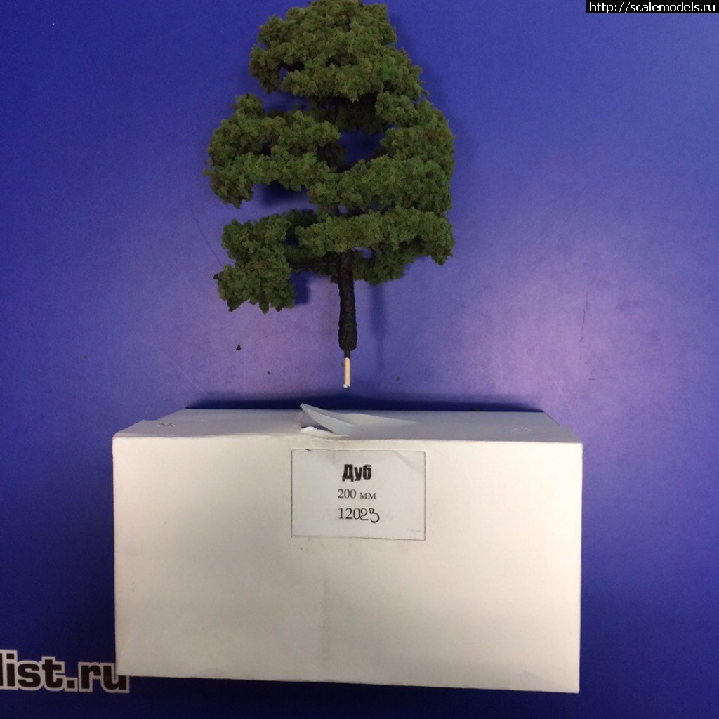 1490367288_12023.jpg :   