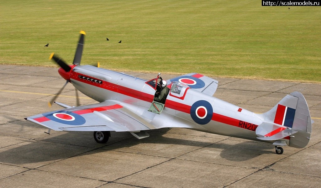 1490604770_11520832324_d93c22c63c_b.jpg : #1362320/ Spitfire Mk XIVe RN201 - 1/72 Fujimi  