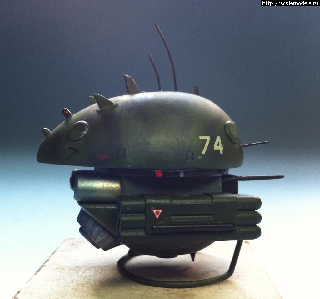 1491024488_IMG_7777.jpg :    2017 - !  