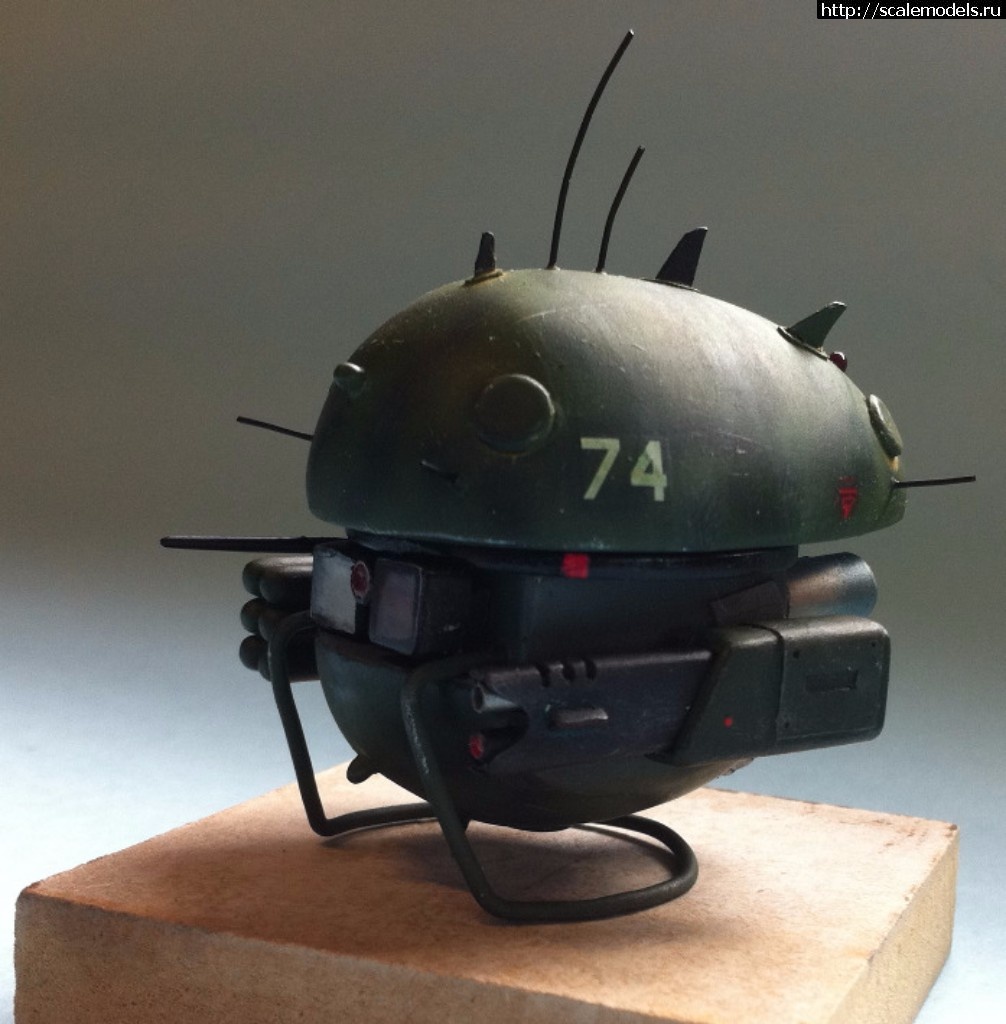 1491024489_IMG_7784.jpg :    2017 - !  