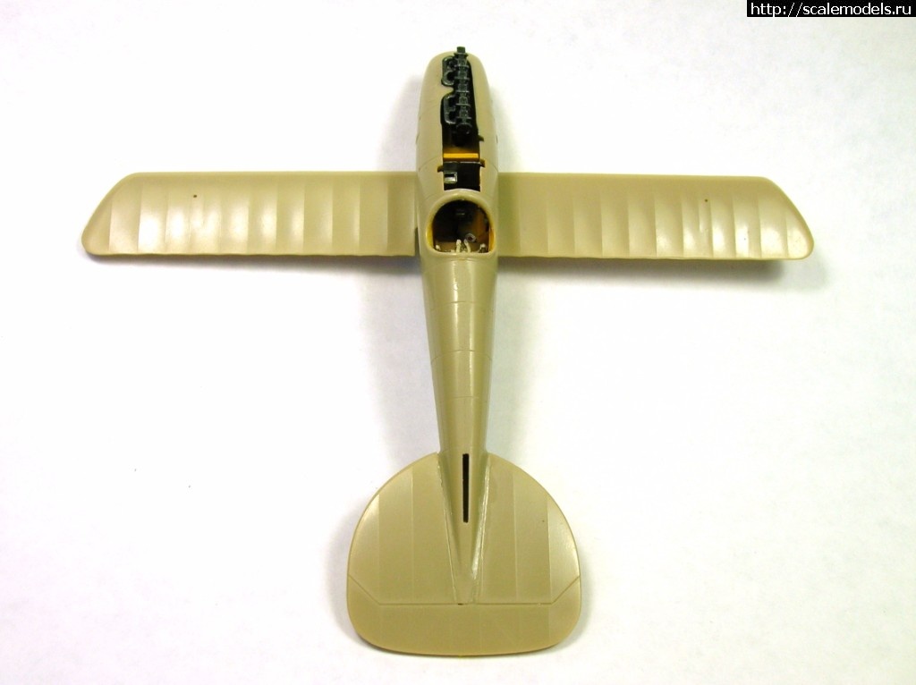 1491048214_DSCN3176.JPG : #1364454/ Eduard 1/72 Albatros D.V.  .  