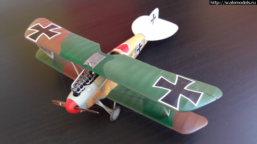 1491063894_20170401_181329.jpg : #1364538/ Albatros D.III 1/48 Eduard -   - !  