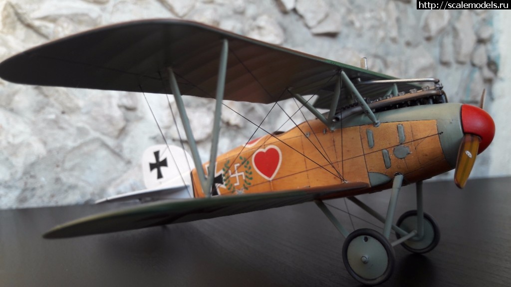 1491063993_20170401_182105.jpg : #1364538/ Albatros D.III 1/48 Eduard -   - !  