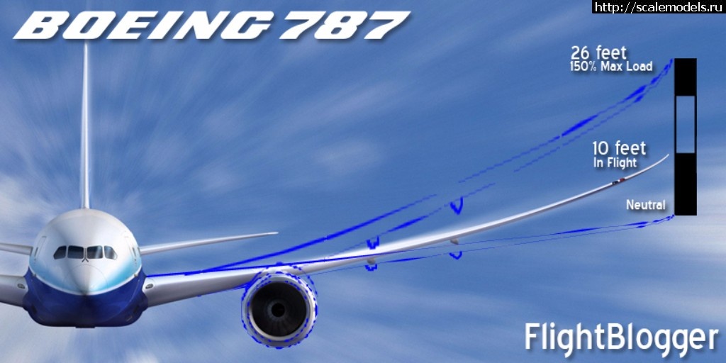 1491562153_787-wing-2.jpg :   1/144 Boeing 787-8 Dreamliner (Zvezda) - /   1/144 Boeing 787-8 Dream...(#2341) -   