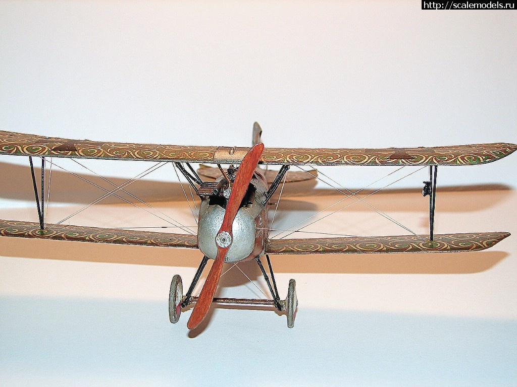 1491579421_2017-04-06-18-06-14.jpg : #1366935/ Albatros D. III Oeffag 253 Eduard 1/48   