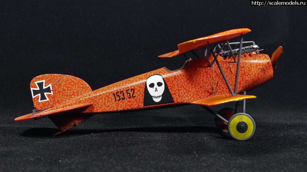 1492361144_6-5.jpg :    Albatros!   1/48  1/32  