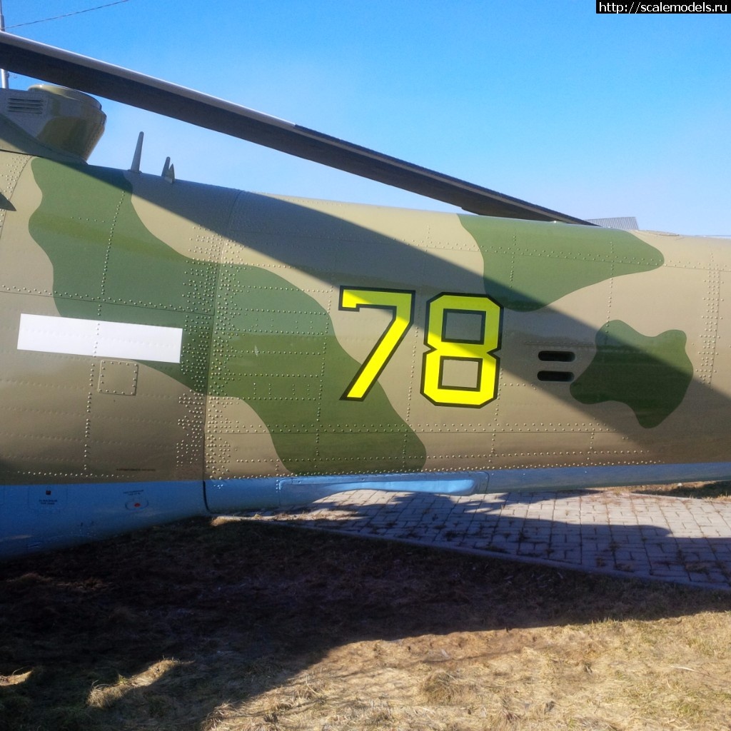 1492876475_1-39.jpg :  -24    