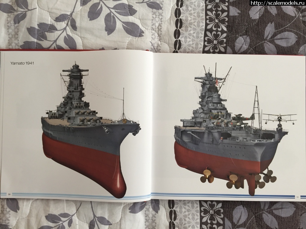 1497369632_IMG_6271.JPG : #1388094/   (Yamato)  