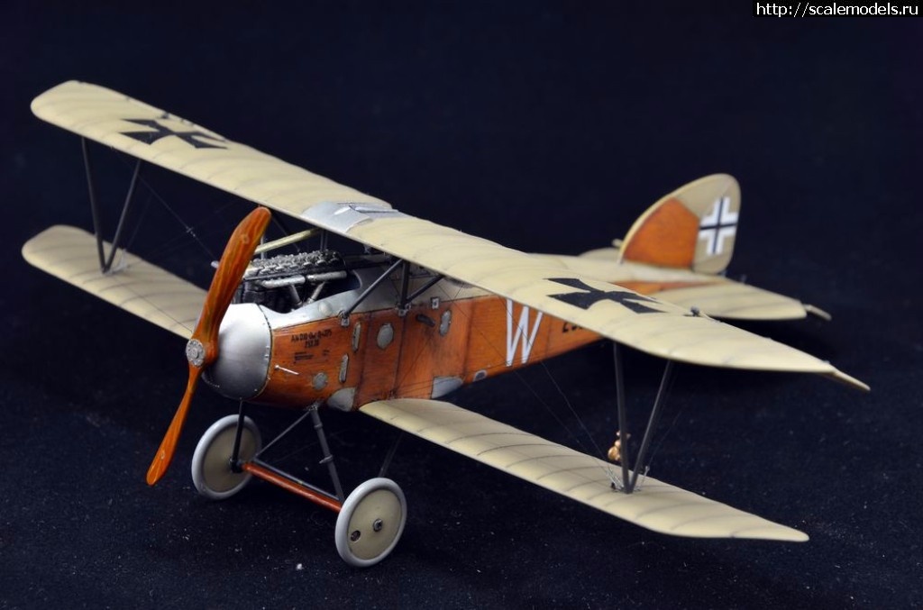 1497599844_DSC_0496.JPG : #1388881/ IX   (#11111) -   