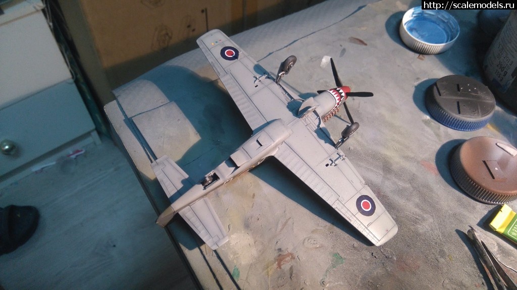 1498607453_DSC_0681.JPG : #1392210/ Mustang III Revell 1/72   