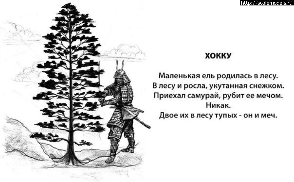 1498827976_samurajj-khokku-v-lesu-rodilas-jolochka-pesochnica-2048350.jpeg : #1393055/ Santa Cruz 1/72 Hasegawa -   