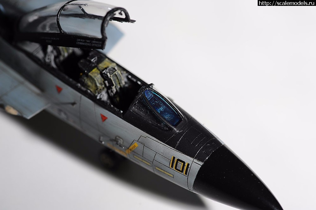 1505492551_DSC_7945.jpg : #1414415/ HobbyBoss 1/72 F-14D Super Tomcat(#11402) -   