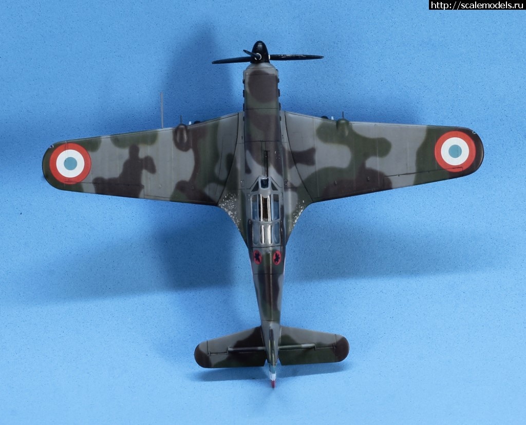 1509134686__MG_3657.JPG :  ,   (),  