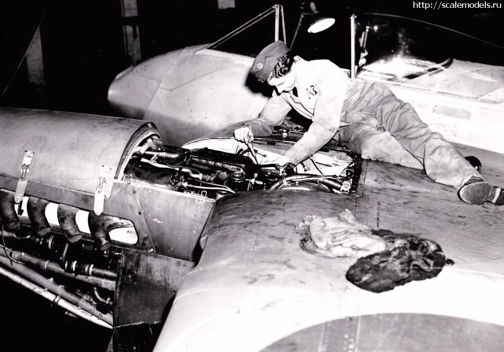 1509476646_103.jpg : #1427720/ DH-103  Sea Hornet NF Mk.21  Special Hobby  1:72.  .  