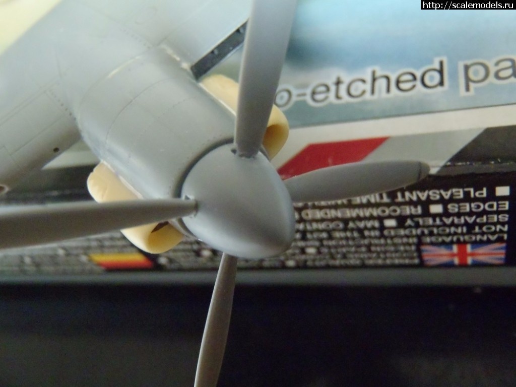 1511551809_PB240052.JPG : #1434386/ DH-103  Sea Hornet NF Mk.21  Special Hobby  1:72.  .  