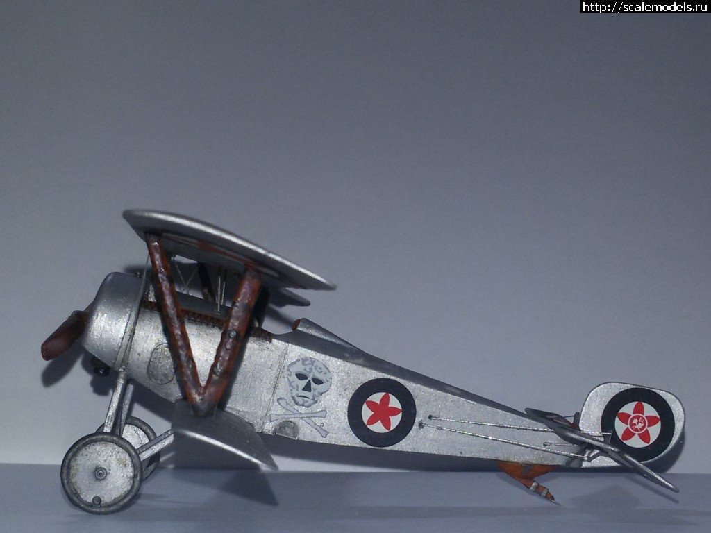 1513675404_20171219_110617.jpg : #1440457/ Nieuport-21 1/48 Eduard   