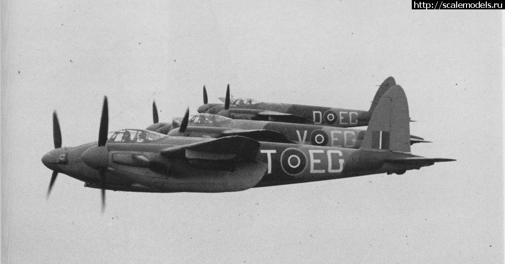 1513921502_bezymjannyjj.jpg : #1441173/   Mosquito  