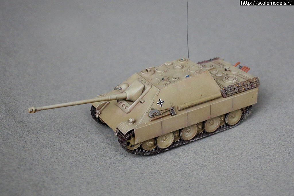 1515698972_235B9181.JPG : #1446091/    .  