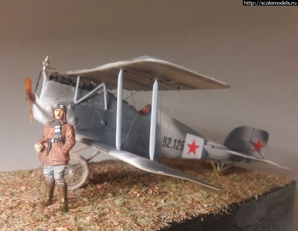 1517686888_20180203_212229.jpg : #1453118/ Aviatik Berg D.I (MAG)   