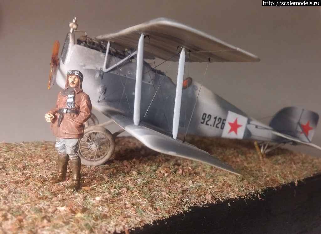 1517686898_20180203_212407.jpg : #1453118/ Aviatik Berg D.I (MAG)   