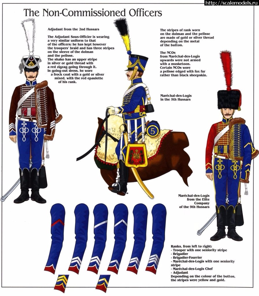 1517980690_Histoire_Collections_-_French8_Hussars_2.jpg : #1454043/    (), 1809.,  EK  