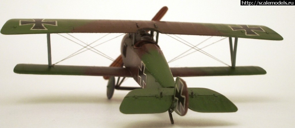 1528396708_IMGP7188.JPG : #1485666/ Siemens-Schuckert D.1   1/72  -  