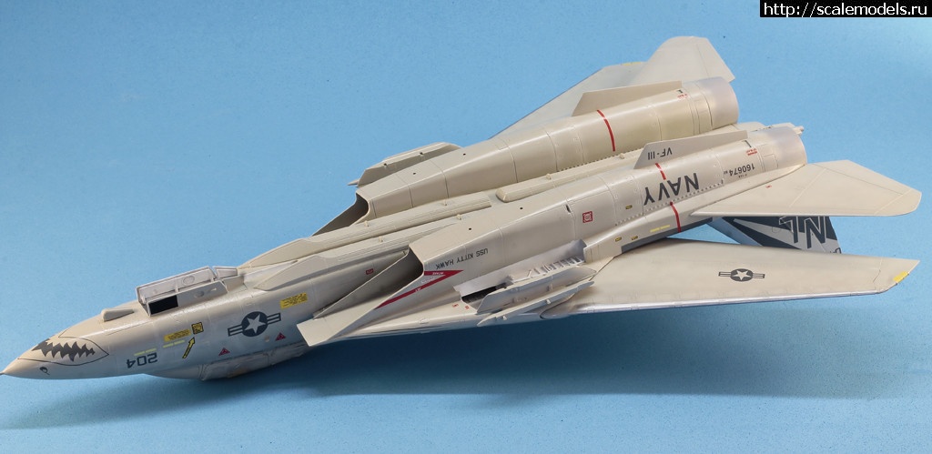 1529827865__MG_4451.JPG : #1488958/ Hobby Boss 1/72 F-14A Tomcat   