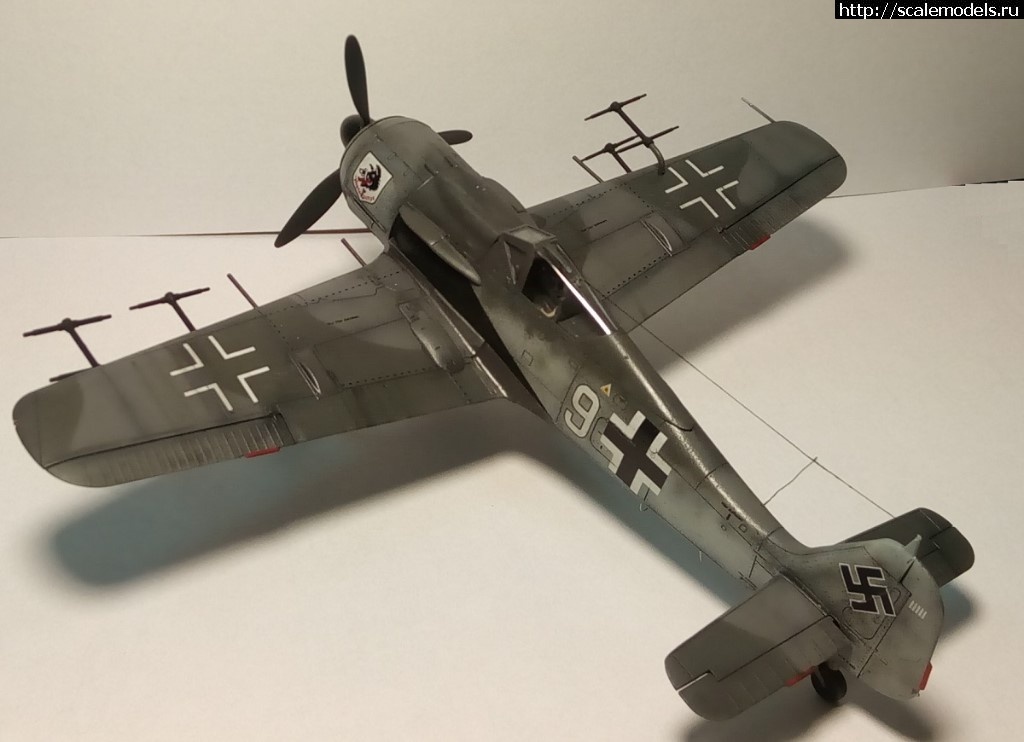 1531946582_7.jpg :     -   ,   