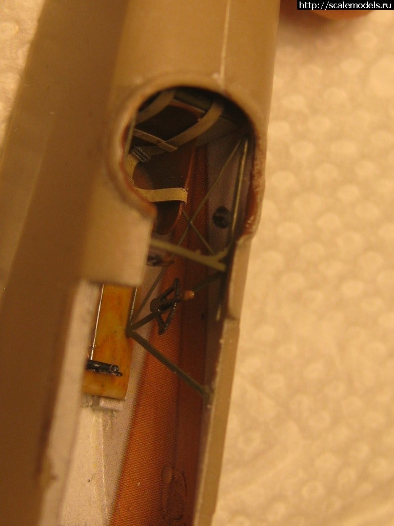 1548306441_IMG_7073.JPG : #1531045/ Fokker Dr.I  