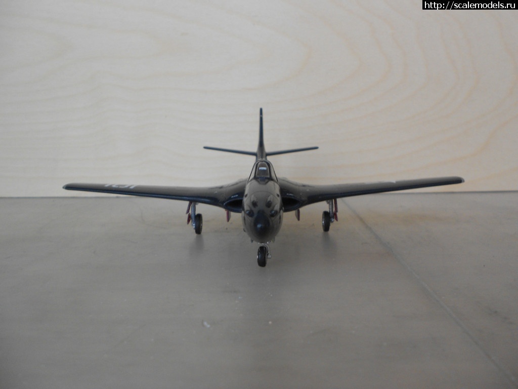 1550300763_DSCN5362.JPG : #1536779/ FH-1 Phantom Special Hobby 1/72    