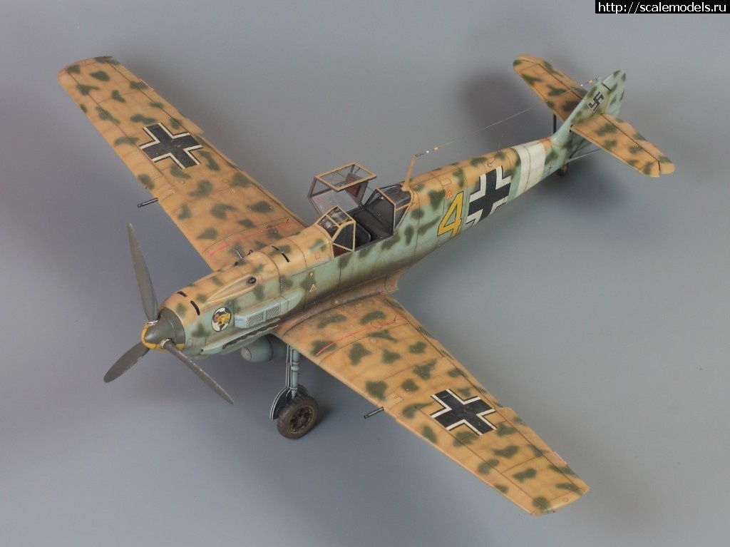 1550350471_1520628800_IMG_1777.JPG :      - 1/48 Bf 109  