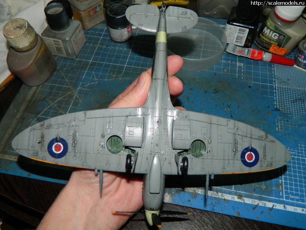 1550725655_DSCN8564.JPG : #1537994/ Supermarin Spitfire Mk.IXc �� ����� "Eduard", 1:48 ������� ����