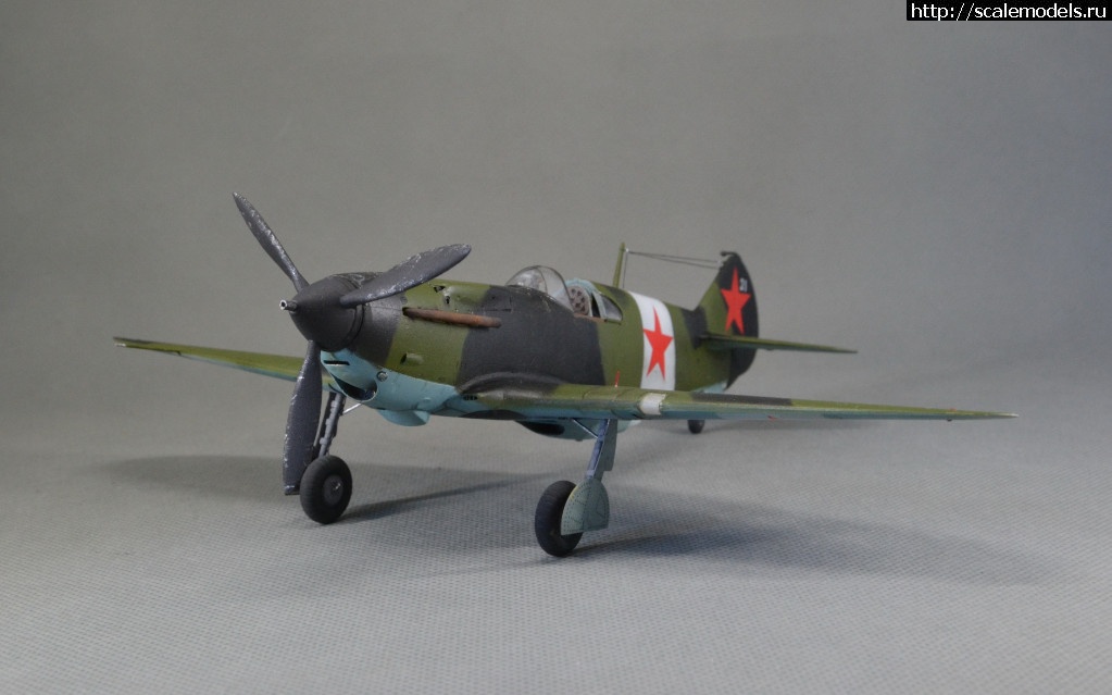 1560433526_DSC_6115.JPG : #1557662/ -3 29  , 34   .  