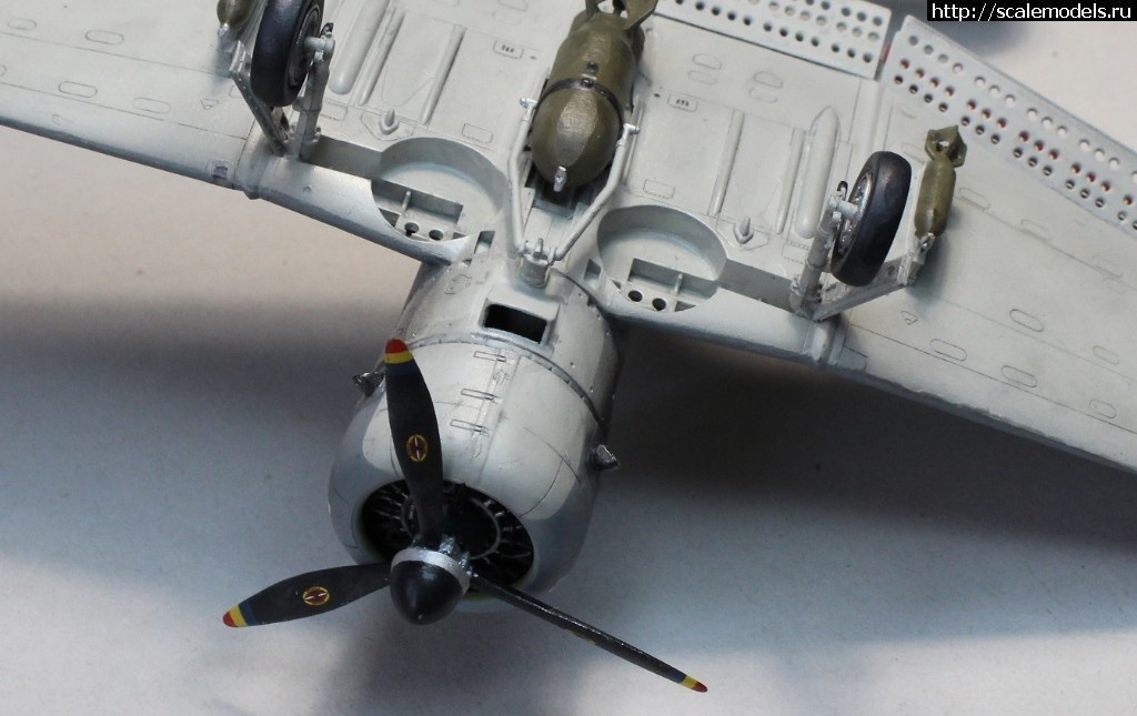 1562242116_1539863469_n1.jpg :      - 1/48   