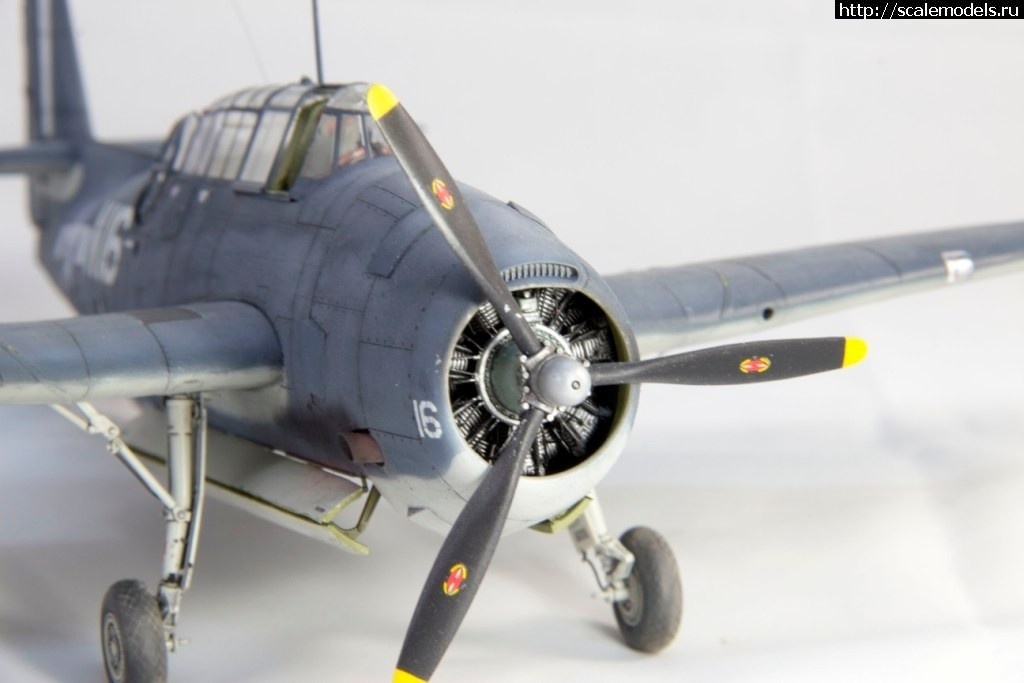 1562242299_1553938574_IMG_3164.jpg :      - 1/48   