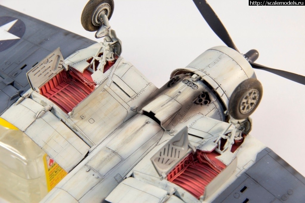 1562242335_1553939090_IMG_3183.jpg :      - 1/48   