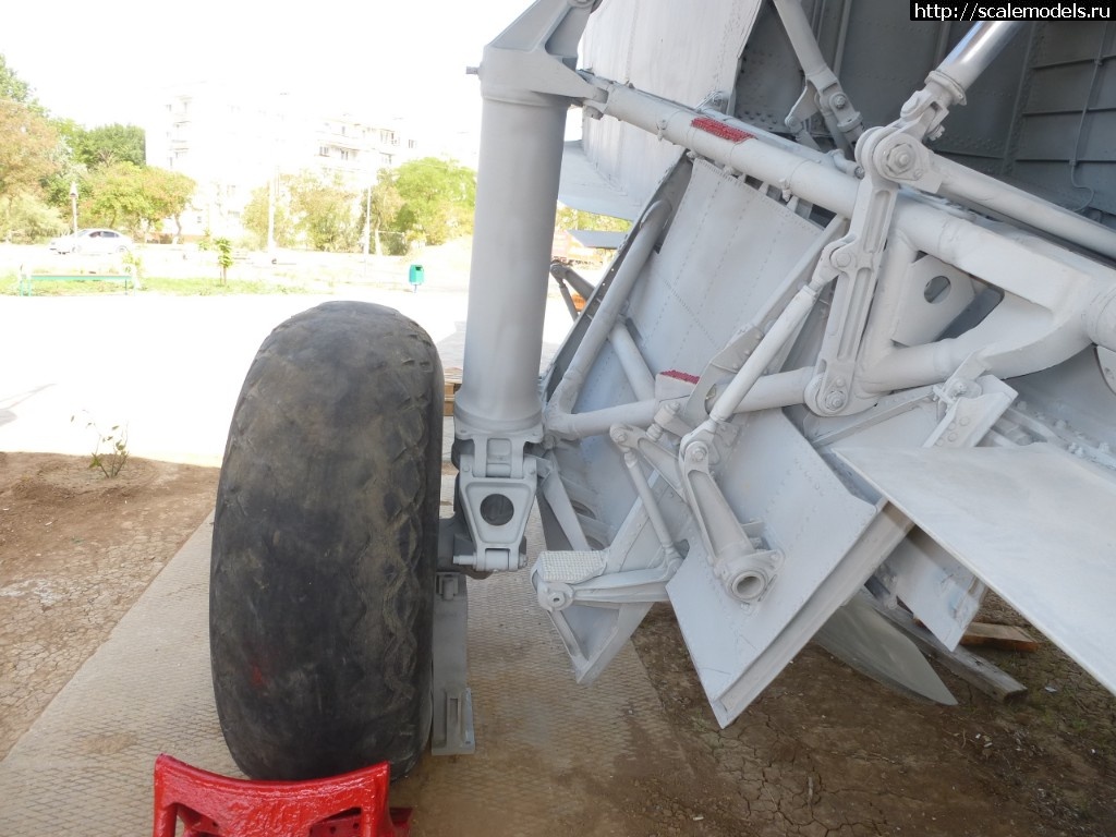 1564652691_P1320512.JPG : #1565174/ -12, -12-200, -14  