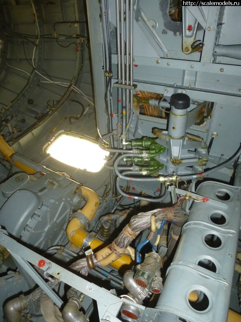 1566420180_P1320903.JPG : #1568879/ -12, -12-200, -14  